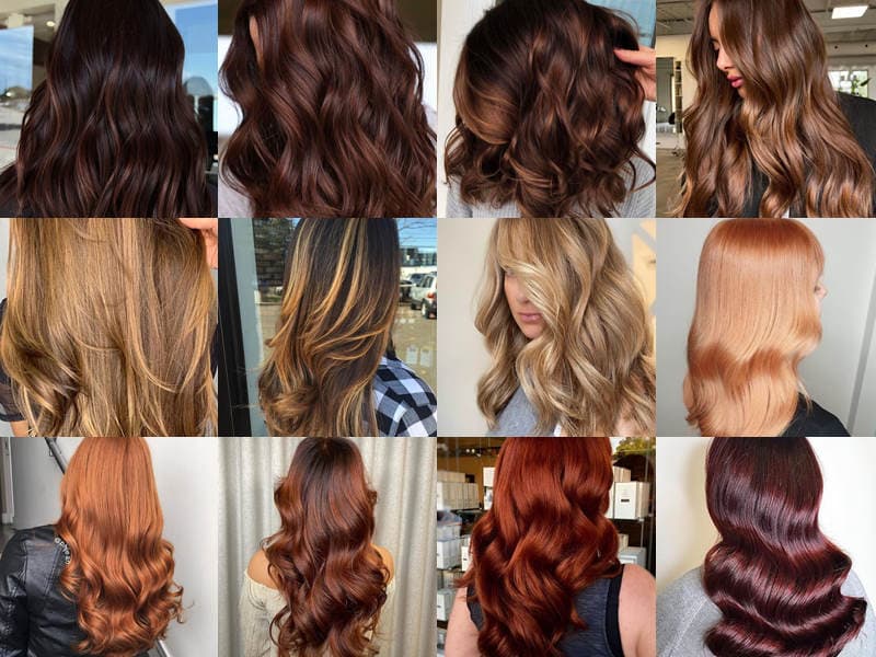 Hair Color