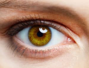 Eyes