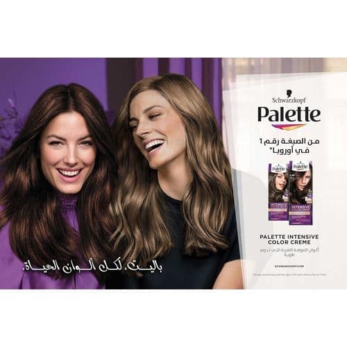 Palette Intensive Hair Color Cream 4-89 Intensive Aubergine