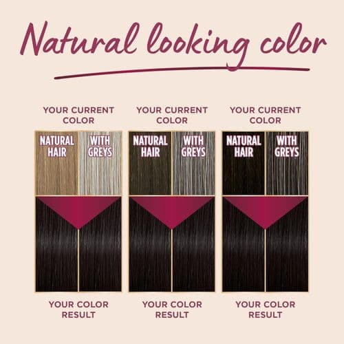 Palette Intensive Hair Color Cream 8-1 Light Blonde Cendre