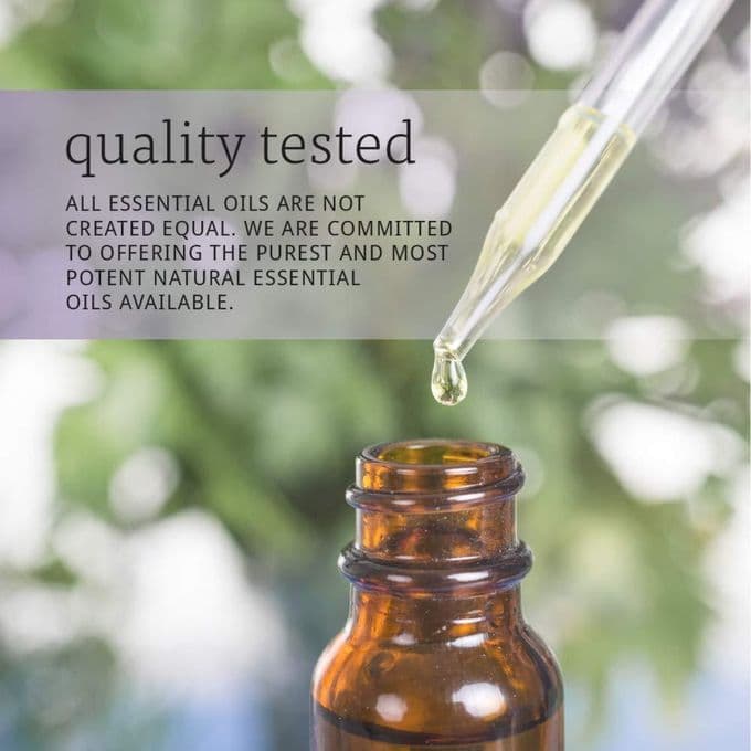 Now Essential Oils 100 Pure Basil 30ml
