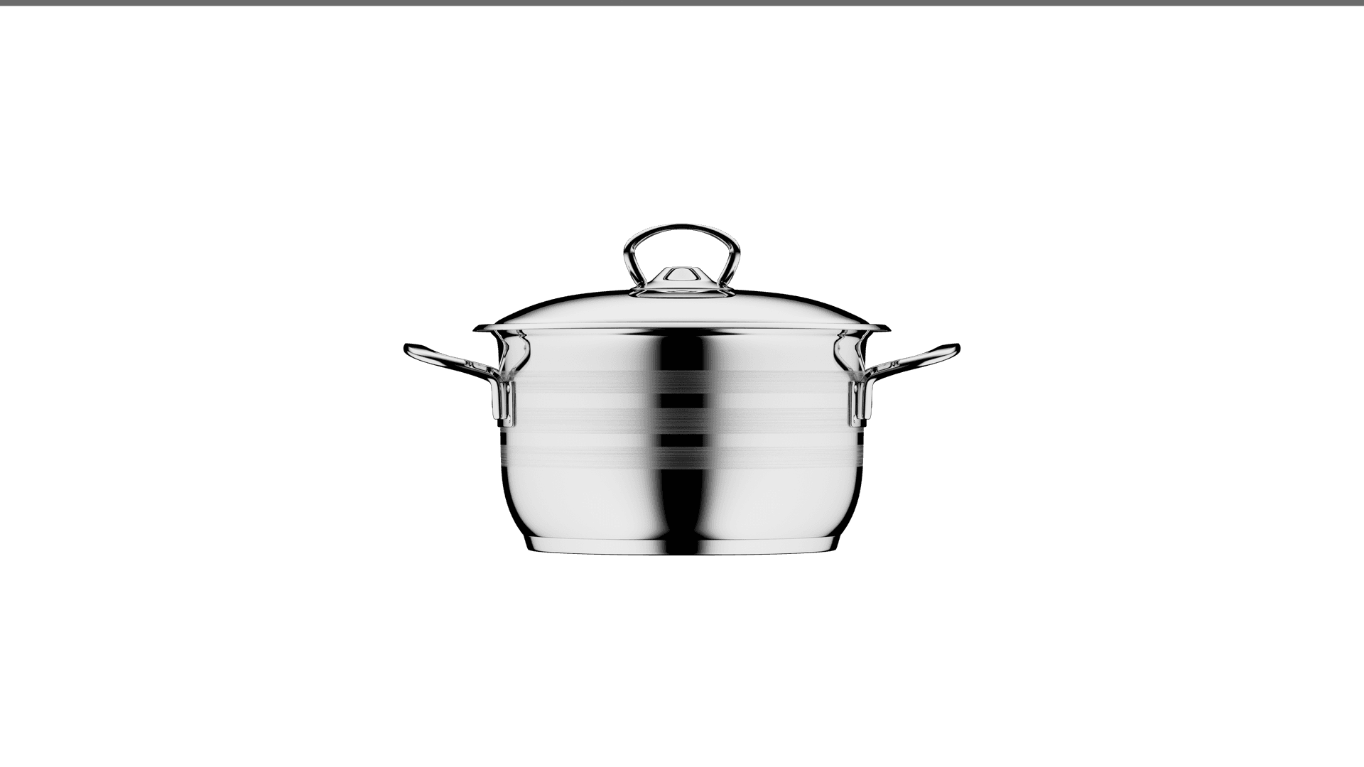 Pot with stainless steel handle