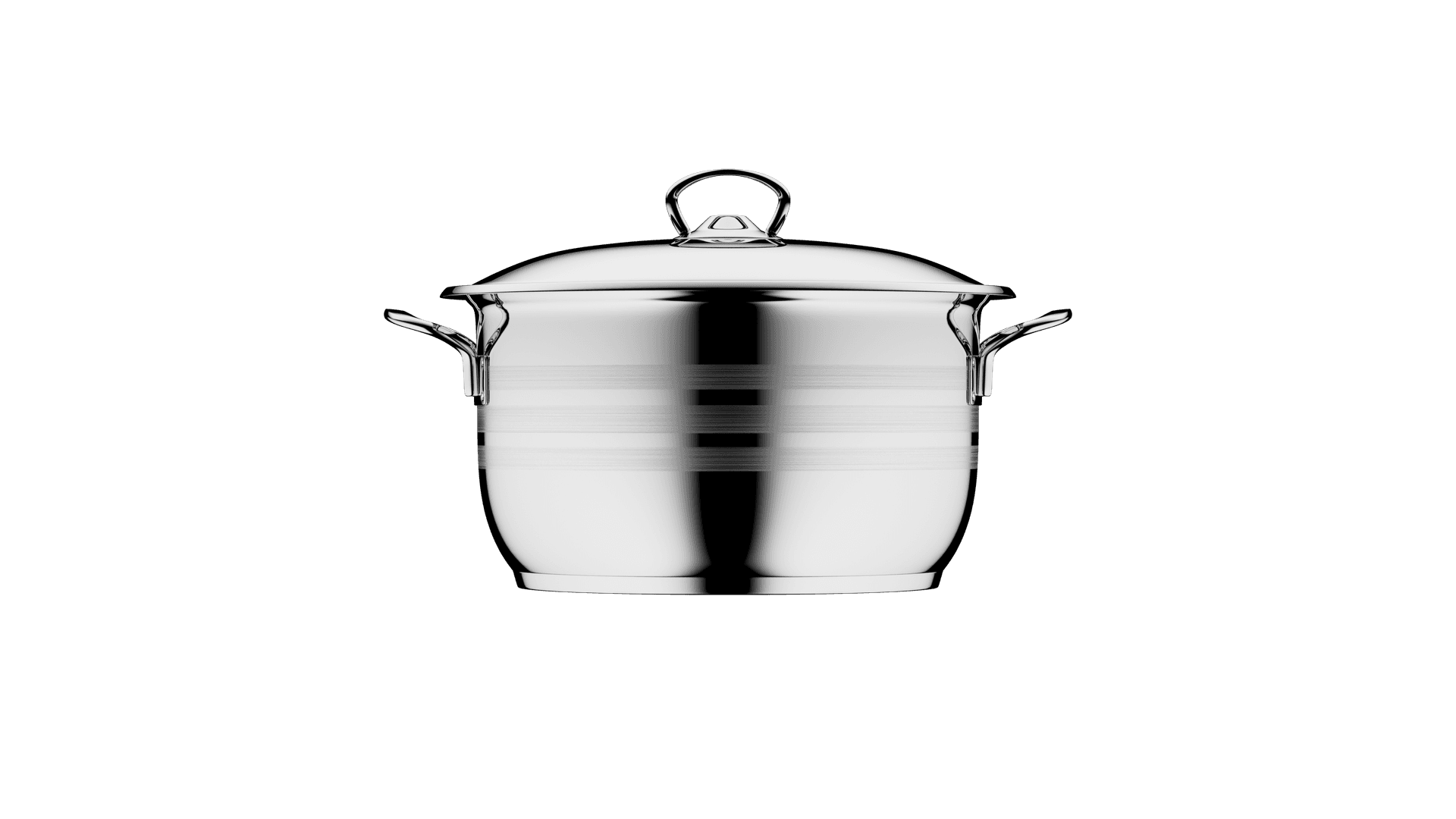 Pot with stainless steel handle