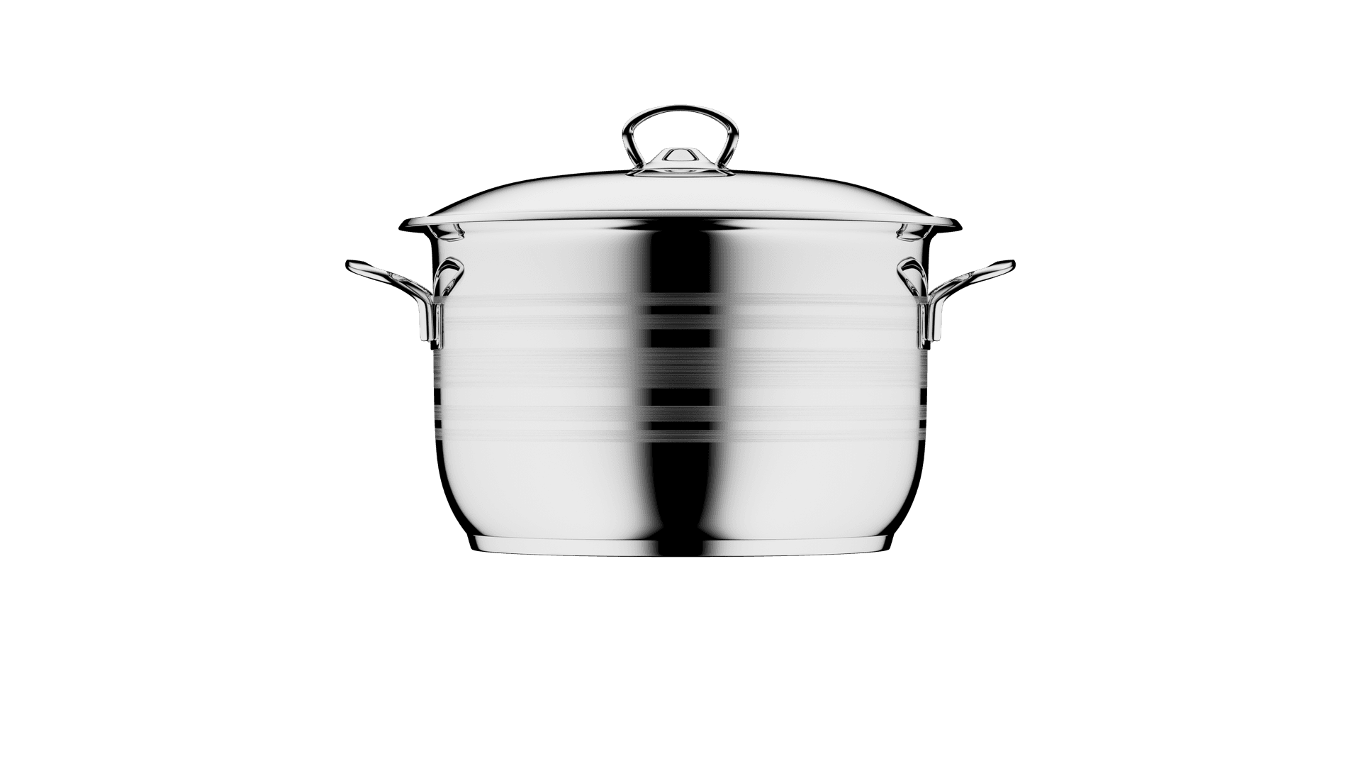 Pot with stainless steel handle