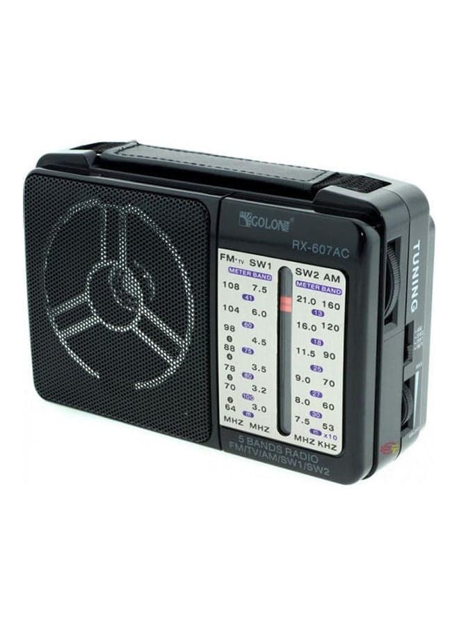 Golone Portable Audio Radio jsj-401-71544021-18 Black