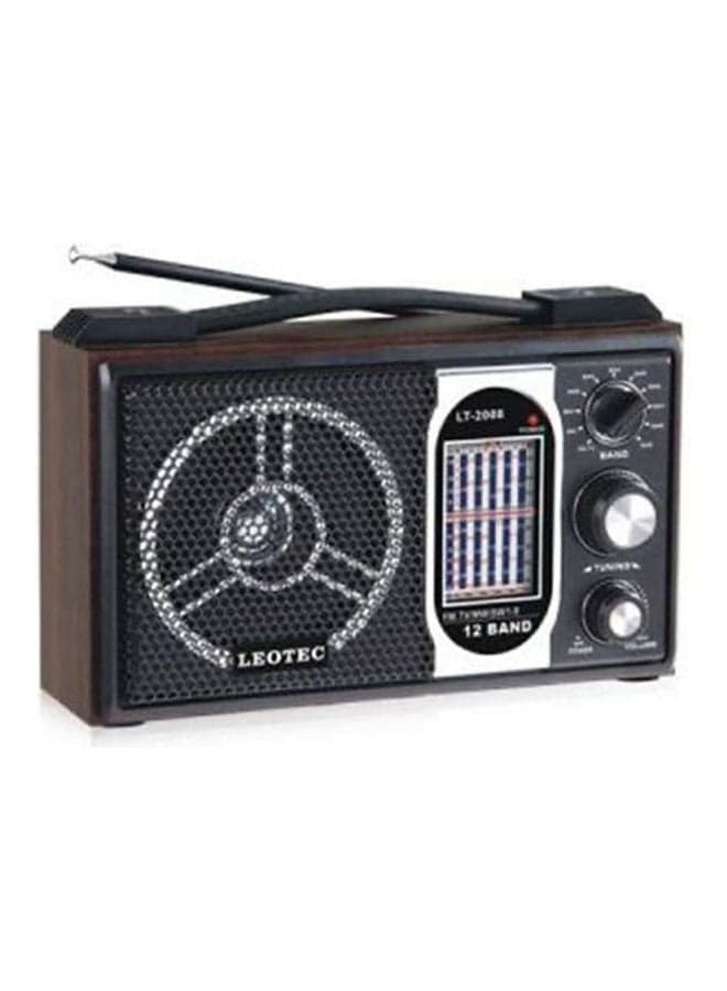 Radio, electricity and stones, 8 waves LT.2008 Brown