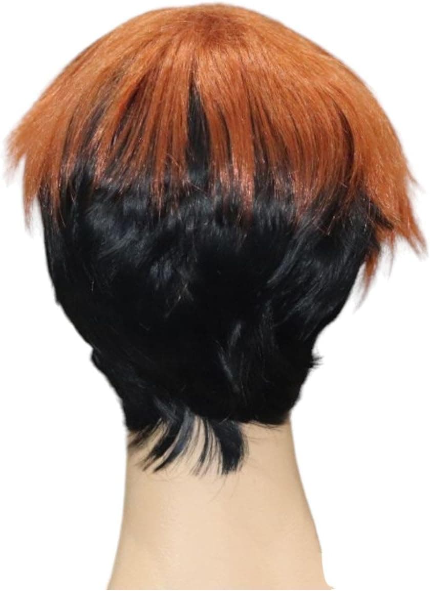 Kar Alagerson Wig Two Colors Raw Fiber