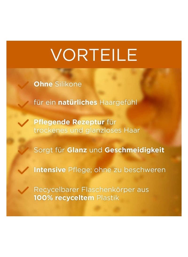 Garnier Wahre Schtze Pflegendes Shampoo Argan- & Camelia-l 300 ML