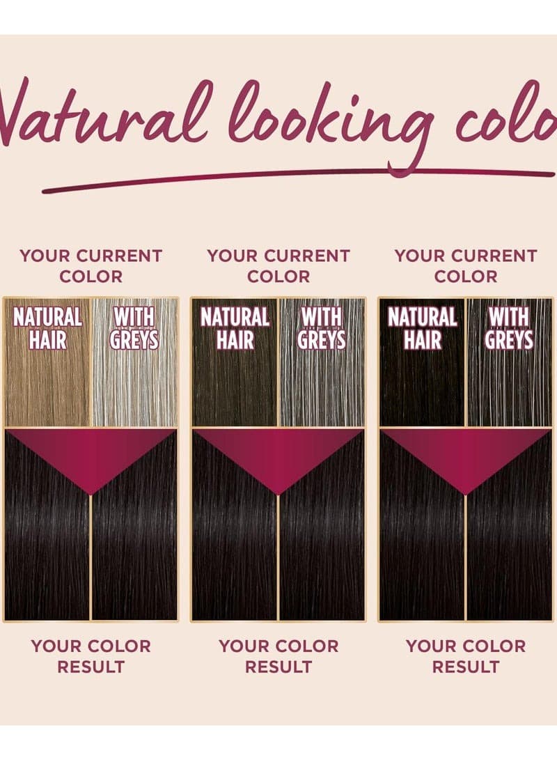 Palette Intensive Hair Color Cream 5-68 Medium Chestnut