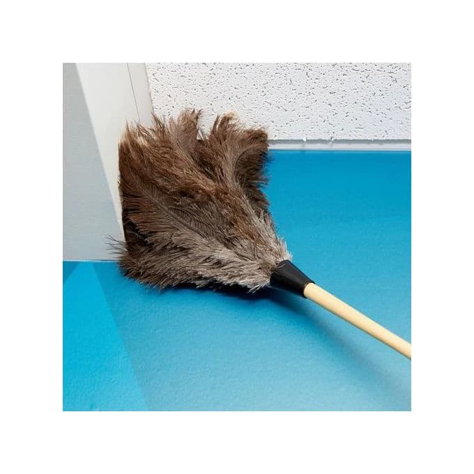 Natural Ostrich Feather Duster with Wooden Handle