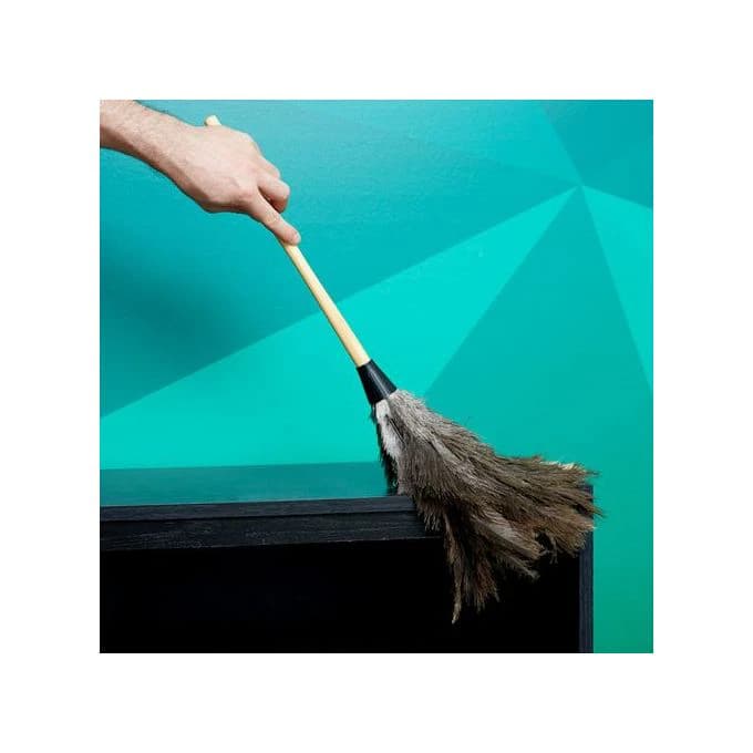 Natural Ostrich Feather Duster with Wooden Handle