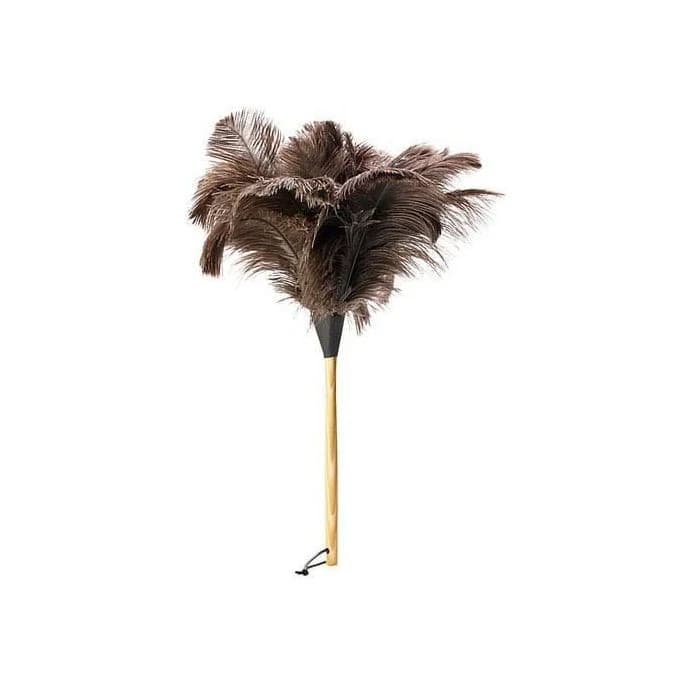 Natural Ostrich Feather Duster with Wooden Handle
