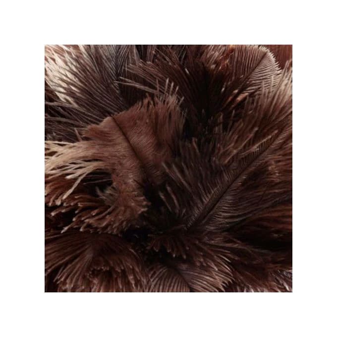 Natural Ostrich Feather Duster with Wooden Handle