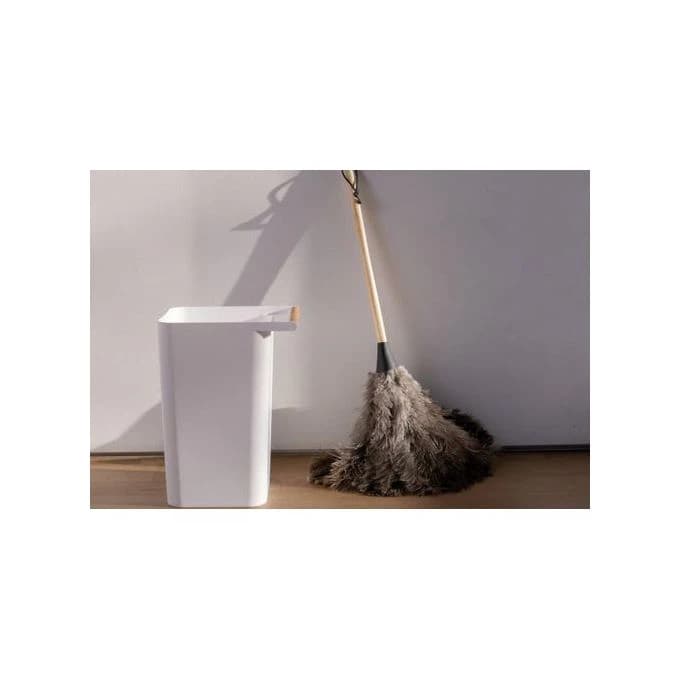 Natural Ostrich Feather Duster with Wooden Handle