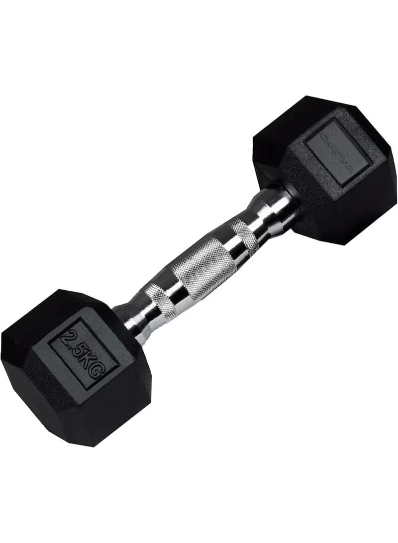2.5kg Hexagonal Dumbbell - Durable cast iron and rubber dumbbell for home 