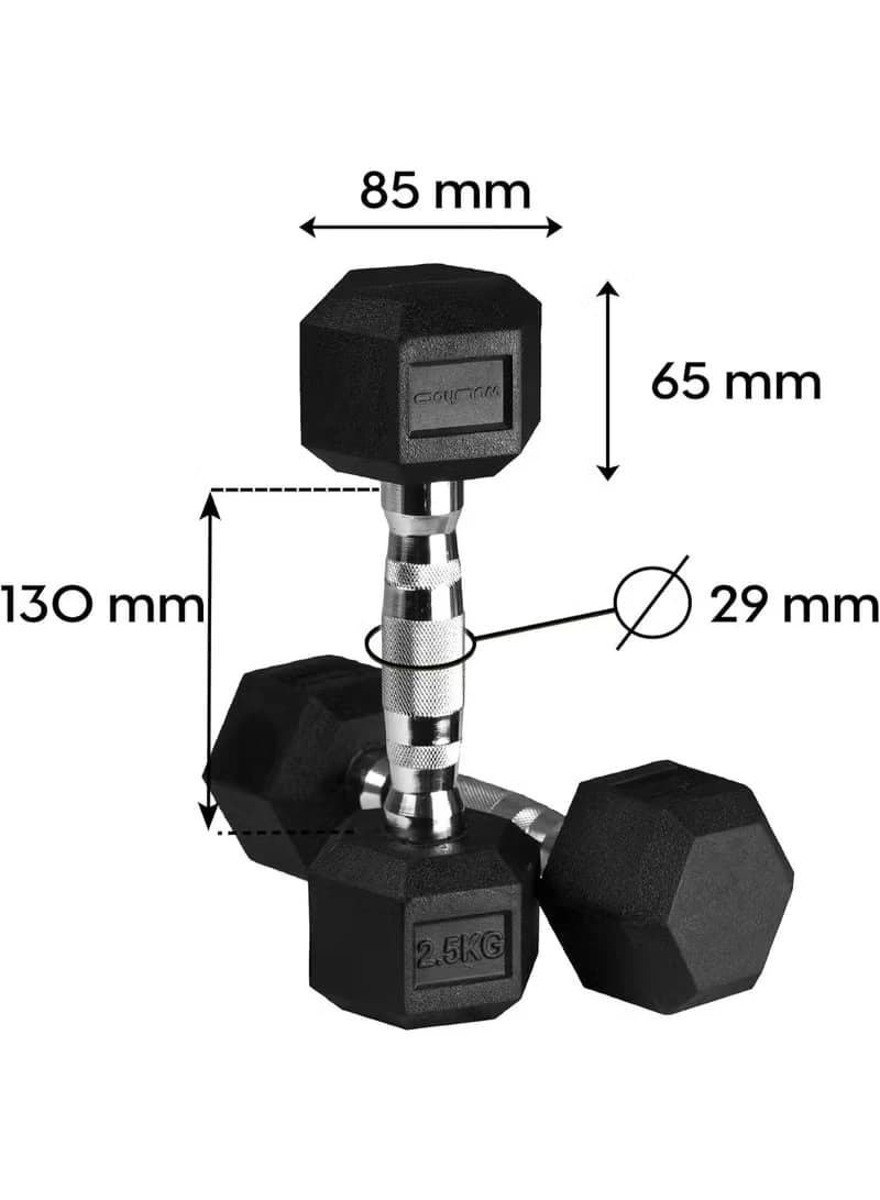 2.5kg Hexagonal Dumbbell - Durable cast iron and rubber dumbbell for home 
