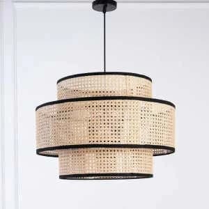 ceiling light-215