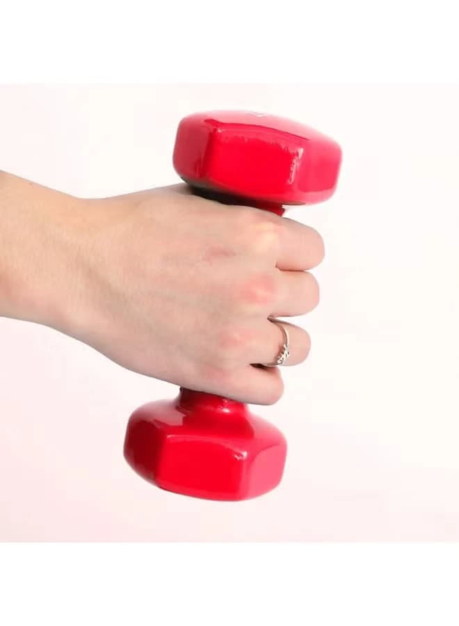 Double vinyl hexagonal dumbbell for fitness training
