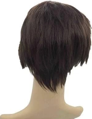 DILLARDS Short Straight Brown Wig – Natural Look