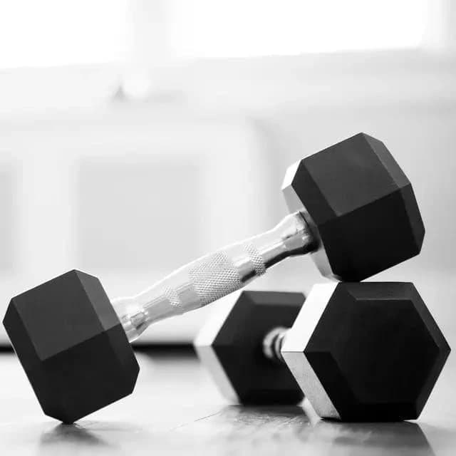 Rubber Hex Dumbbell - Hexagon Shaped Heads to Prevent Rolling and Injury 2.5 KG