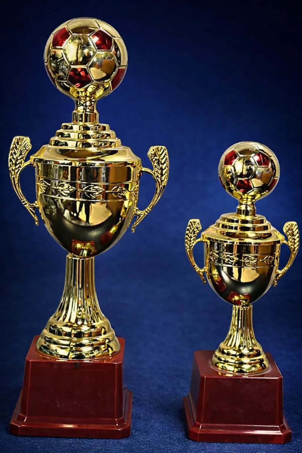 Ticket Cup - Award and Reward for Champions and Football Fans, Gold  