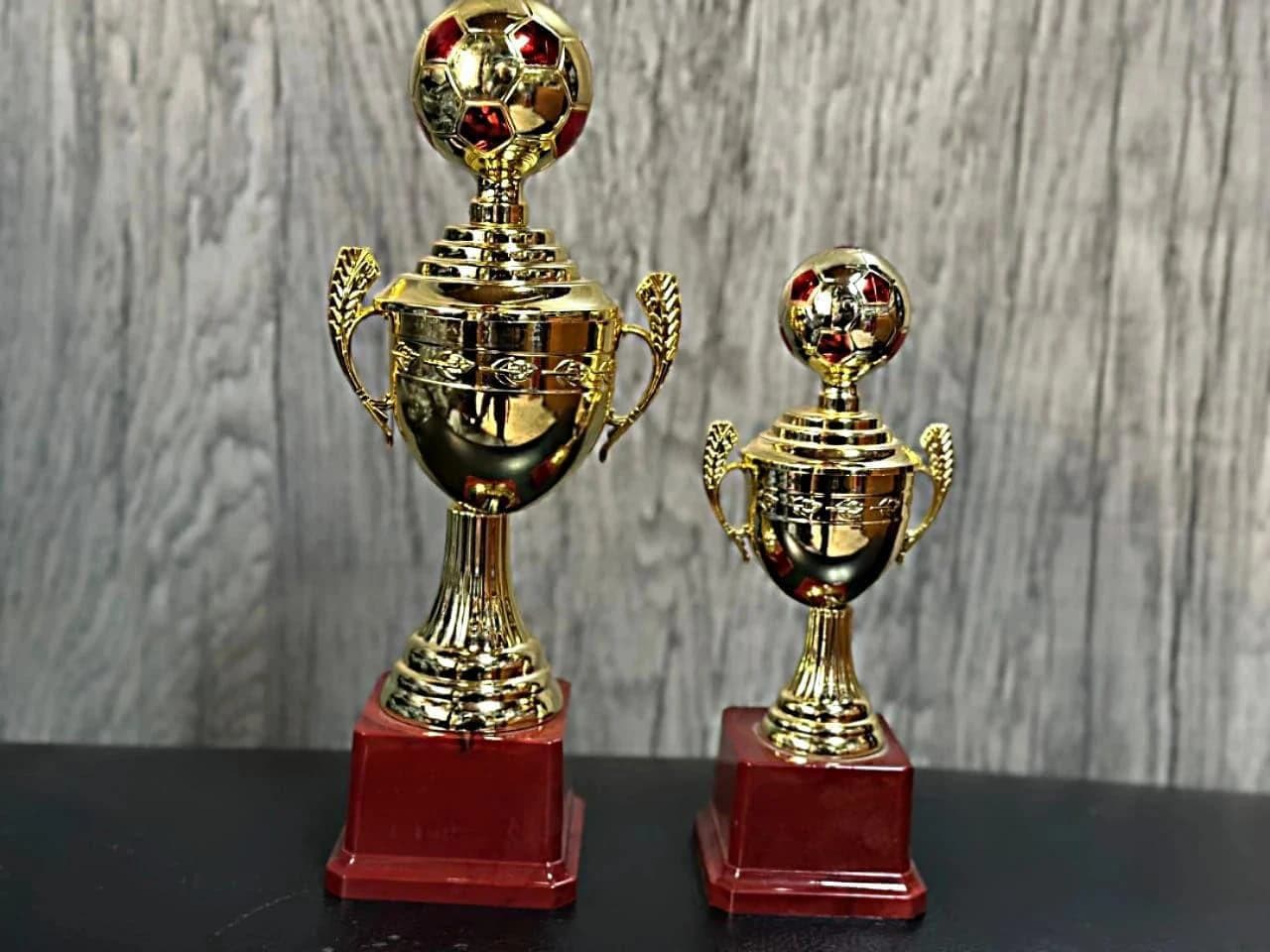 Ticket Cup - Award and Reward for Champions and Football Fans, Gold  