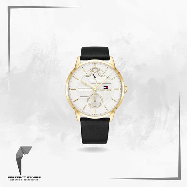 Tommy Hilfiger Men's Watch Hunter 1791606 - original