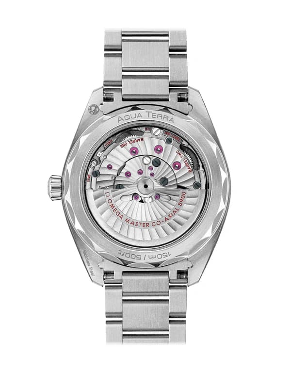 Omega Seamaster Worldtimer Steel Mens Watch - Master Copy