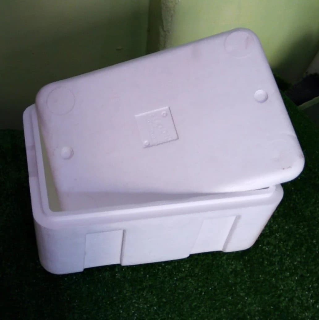 Foam box for storing frozen foods, 25 liter capacity
