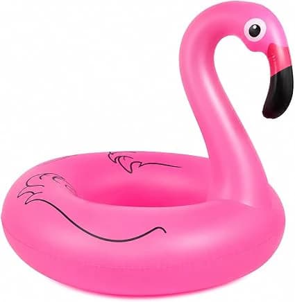 Large Inflatable Pool Float for Adults